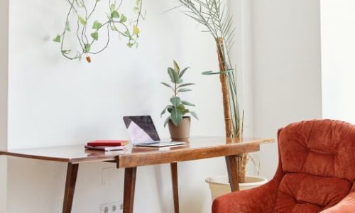 kurs küçük resmi